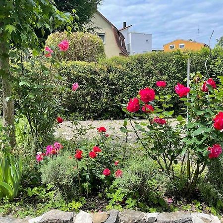 Fewo Apartment Lake Of Constance FDH Buitenkant foto