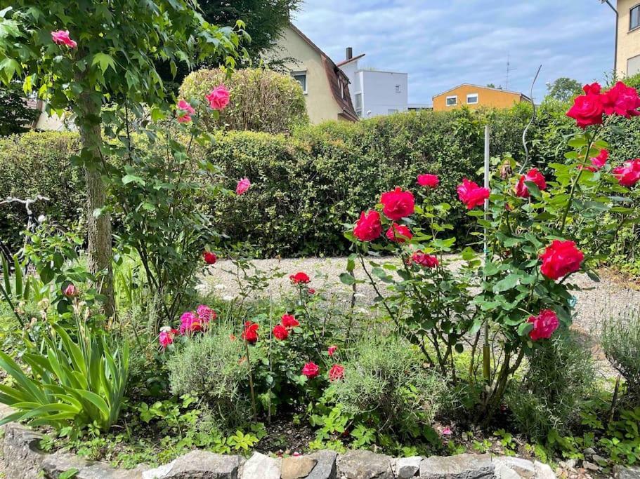 Fewo Apartment Lake Of Constance FDH Buitenkant foto